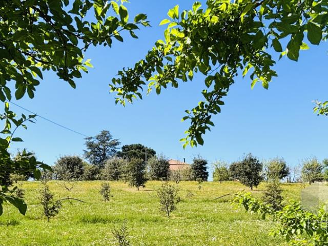 ROMANS SUR ISERE, propriété de 144 m2, terrain de 5 000 m2