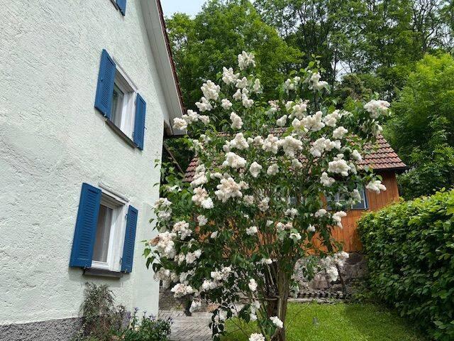 Romantisch am Waldrand 2 Familienhaus plus Studio, Südseite!