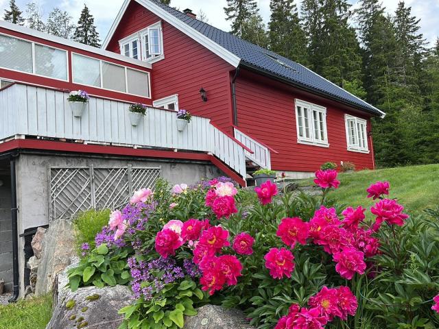 Rommenäs Knausen 1