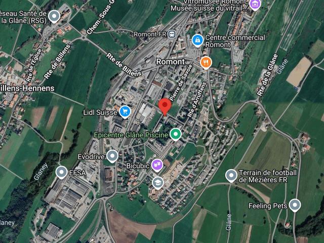 ROMONT Magnifique 3.5 pièces rénové avec finitions haut de gamme | dreamo. Ch