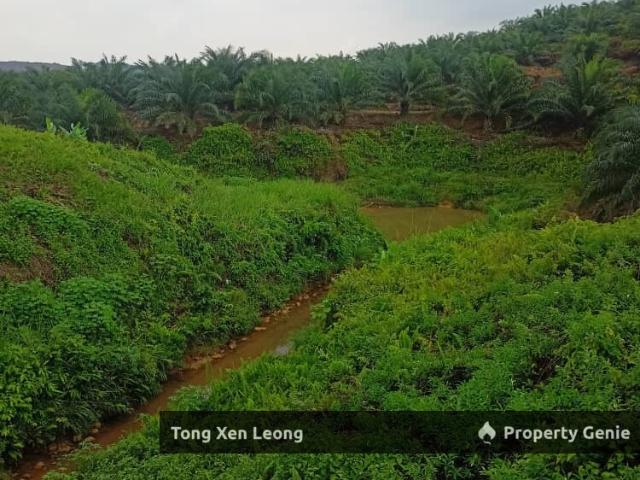 Rompin, Negeri Sembilan
