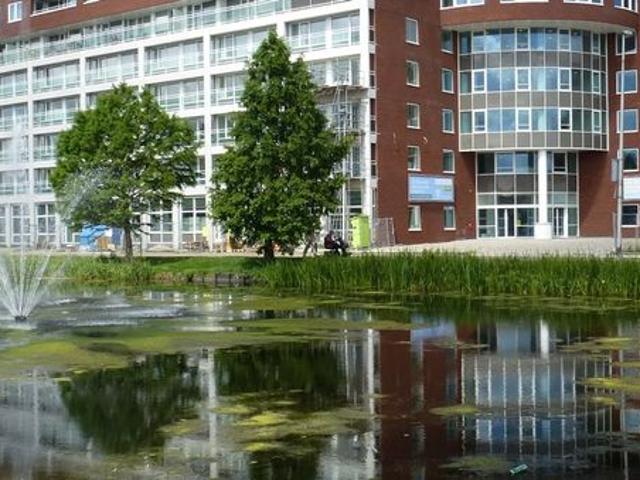 Roodborst Appartement B Steenloperstraat 195