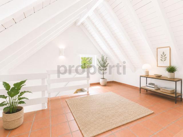 Roof flat with 4.5 rooms for rent in Beringen 120 m² | dreamo. Ch