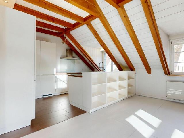 Roof flat with 4.5 rooms for rent in Dornach 151 m² | dreamo. Ch