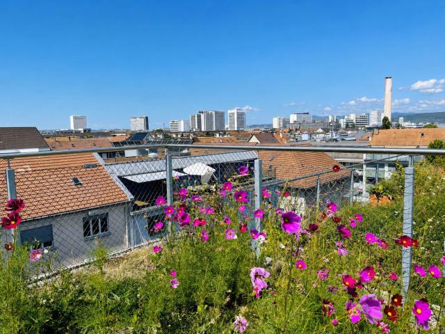 Roof flat with 6 rooms on sale in Basel 120 m² | dreamo. Ch
