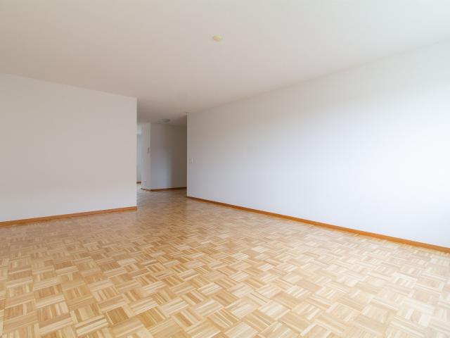Roof flat with 3.5 rooms for rent in Steinach 84 m² | dreamo. Ch