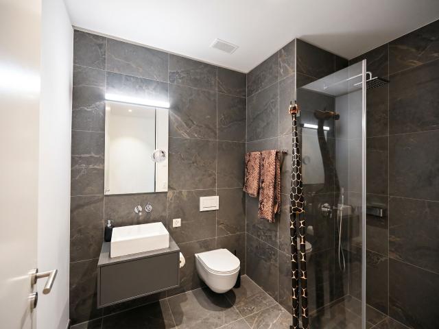 Roof flat with 3.5 rooms on sale in Aesch BL 98 m² | dreamo. Ch