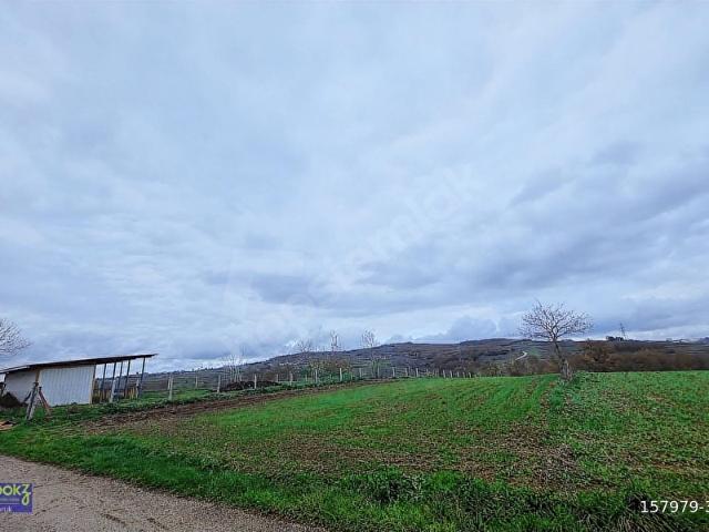ROOKZDORUK'DAN KANDIRA OSB YAKINI %5 İMARLI 1792M2 ARSA!