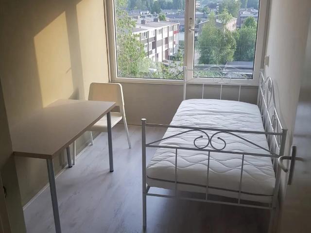 Room near The HAN University of Applied Sciences