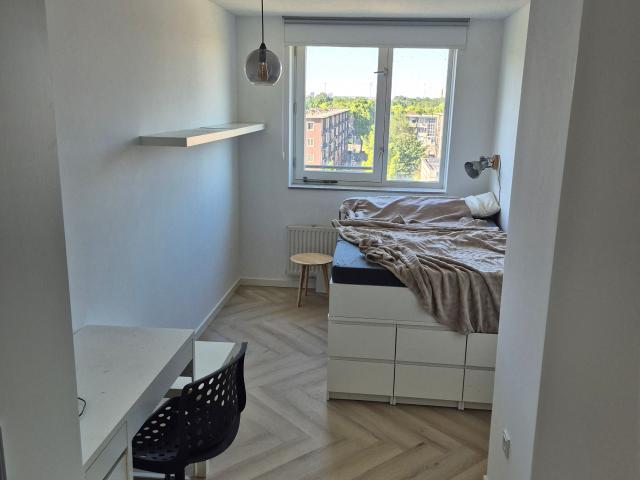 Room Nieuw west, looking for a Female