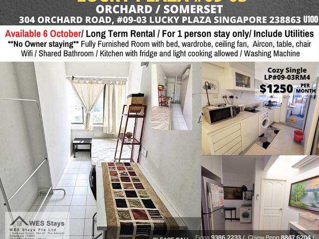 room / ORCHARD / SOMERSET / Common room / 1pax stay / Available 6 Oct