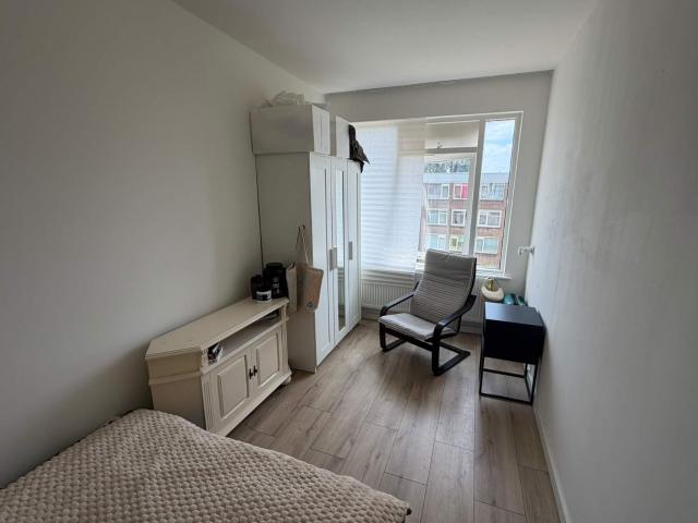 room at Rotterdam