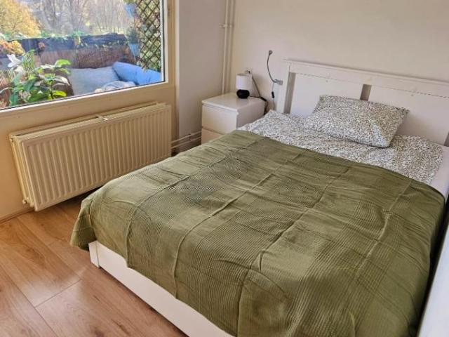 Room available iminidatelly