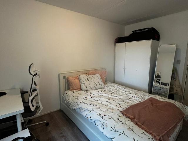 Room available in Delft — from June 1st