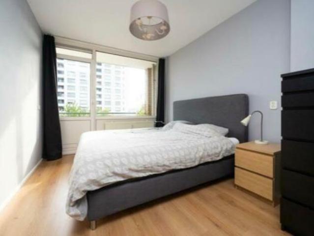 Room available in Rotterdam