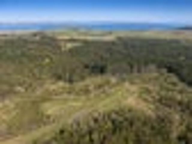Room for Home, Minor & Barn Tarakihi Lot 1