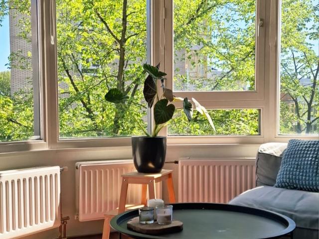 Room For Near Amstel