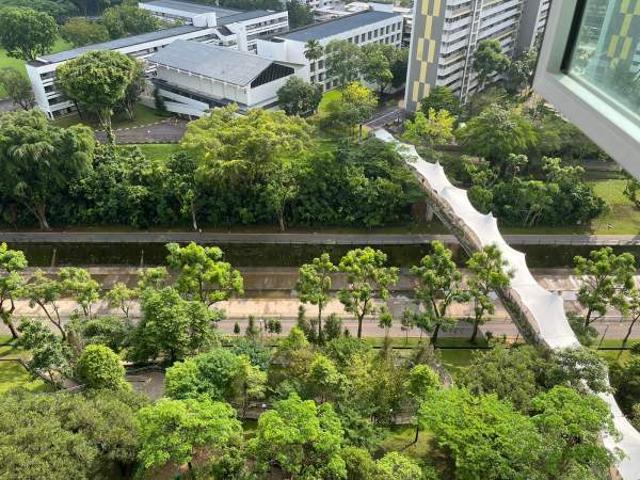 Room For Rent Buona Vista Queenstown