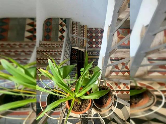 Room for rent in a 3 bedroom apartment in Barcelona