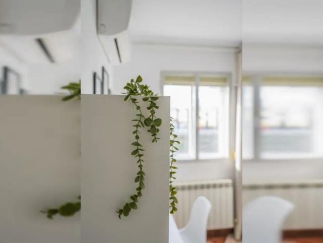 Room for rent in great apartment located in Madrid