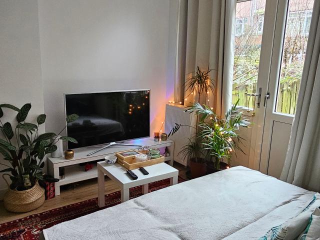 Room for rent in Rotterdam