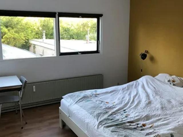 Room for rent in Utrechtse Heuvelrug, Province of Utrecht