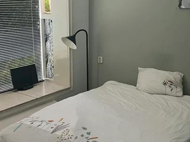 Room for rent in Utrechtse Heuvelrug, Province of Utrecht