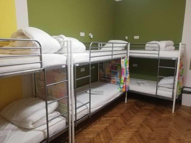Room for rent in 12 bedroom apartment in Piasek, Krakow