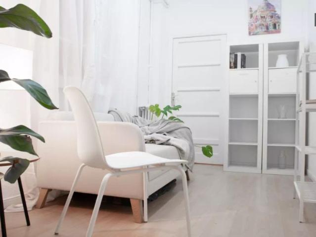 Room for rent in 3 bedroom apartment in Goya