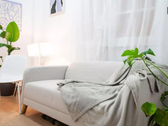 Room for rent in 3 bedroom apartment in Goya