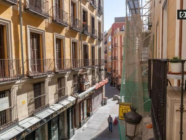 Room for rent in 4 bedroom apartment in Centro, Madrid