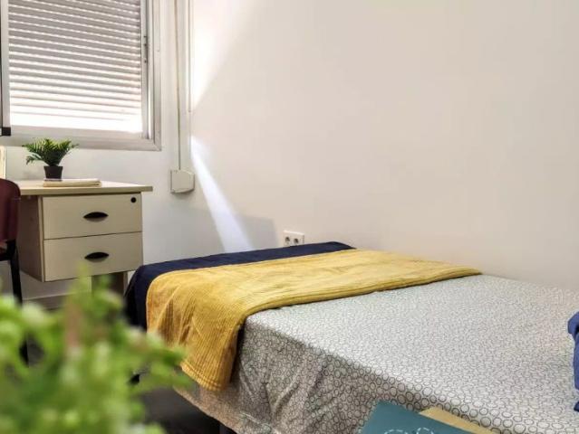 Room for rent in 4 bedroom apartment in Burjassot, Valencia