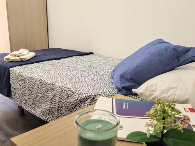 Room for rent in 4 bedroom apartment in Burjassot, Valencia