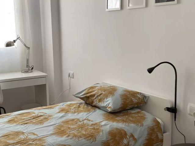 Room for rent in 5 bedroom apartment in Burjassot