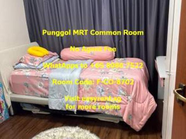 Room For Rent Punggol