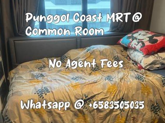 Room For Rent Punggol