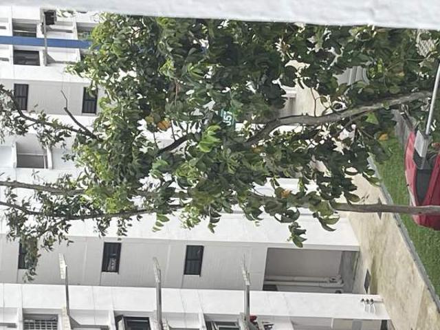 Room For Rent Yishun Central Yishun