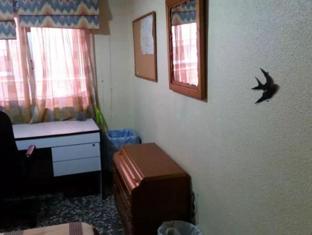 Room in a shared apartment for rent in Murcia, no couples allowed