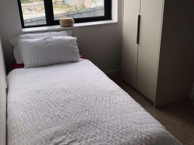 Room in a shared flat for rent in Dublin