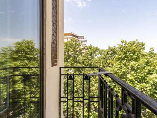 Room in a shared 11 bedroom apartment for rent in Arapiles