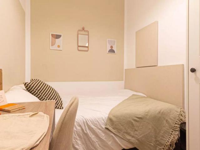 Room in a shared 11 bedroom apartment for rent in El Raval