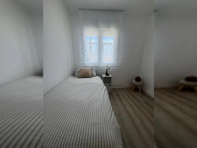 Room in a shared 1 bedroom apartment for rent in San Andrés