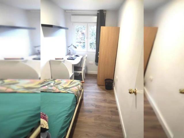 Room in a shared 1 bedroom apartment for rent in Sant Antoni