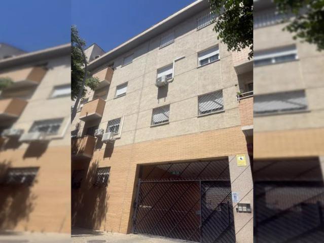 Room in a shared 1 bedroom apartment for rent in Pino Montano
