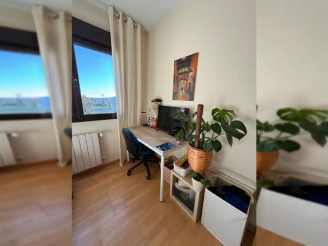 Room in a shared 3 bedroom apartment for rent in Buenavista