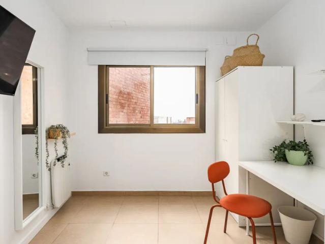 Room in a shared 3 bedroom apartment for rent in El Carmel