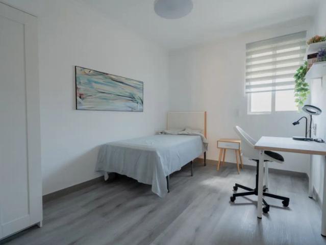 Room in a shared 3 bedroom apartment for rent in La Malva Rosa