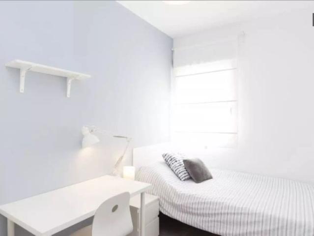 Room in a shared 4 bedroom apartment for rent in Campamento, professionals and students allowed