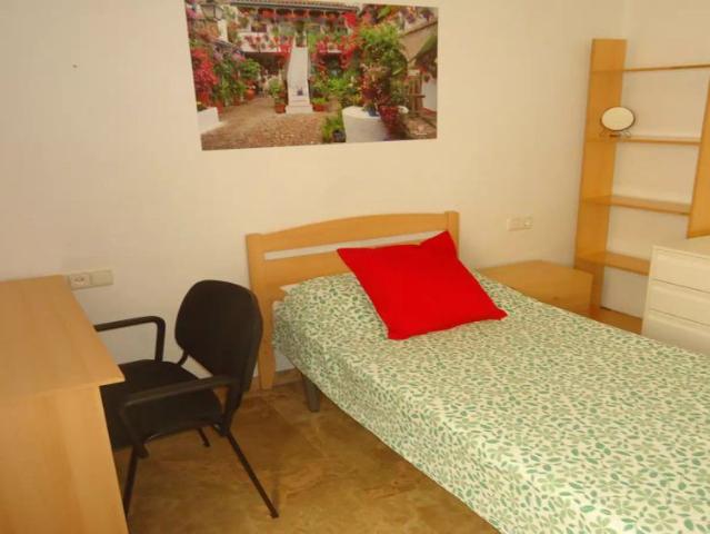 Room in a shared 4 bedroom apartment for rent in Cercadilla Medina Azahara