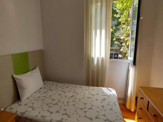 Room in a shared 4 bedroom apartment for rent in Almagro, only females, only students
